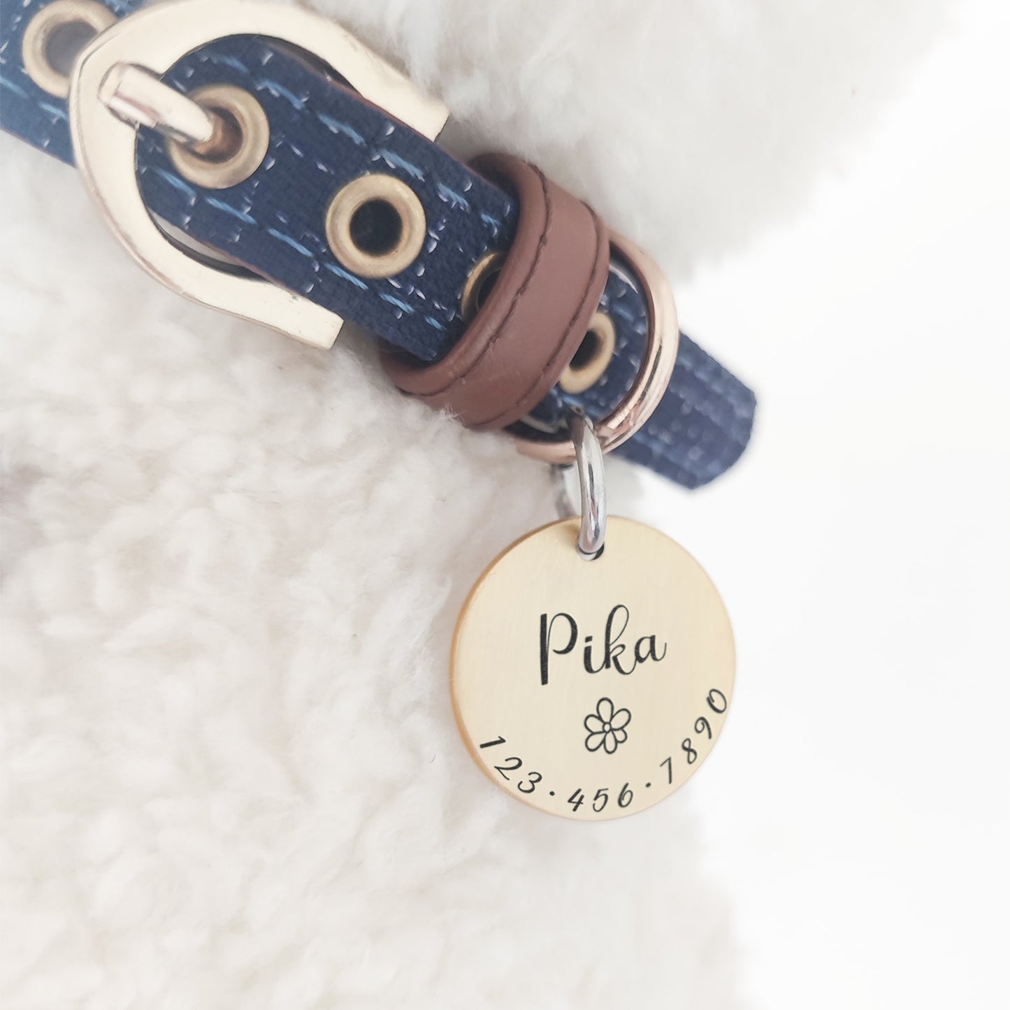 Accessori personalizzati per collari con targhetta identificativa per cani e gatti Forniture per ciondoli a catena per collane con incisione