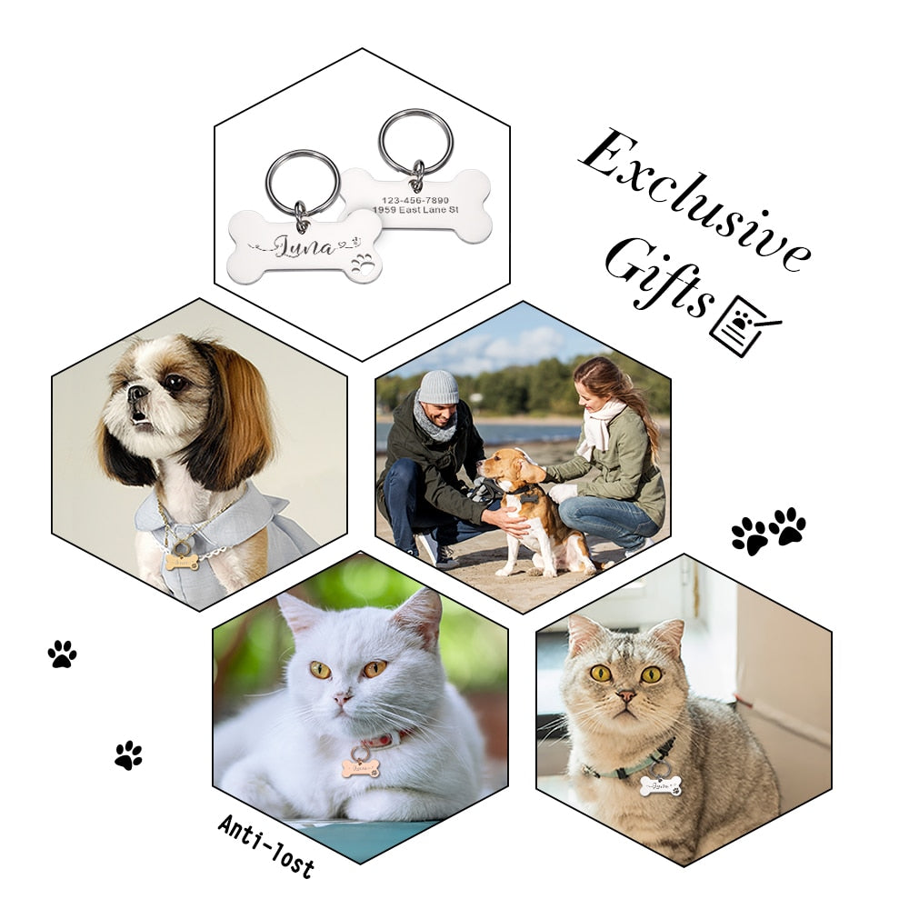 Targhette per cani personalizzate in acciaio lucido Collari anti-smarrimento Tag per targhetta per cani e gatti Accessori per animali domestici