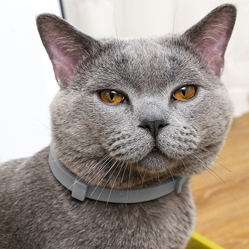 Collare antipulci per animali domestici Collare regolabile antizanzare repellente per insetti per animali di taglia grande