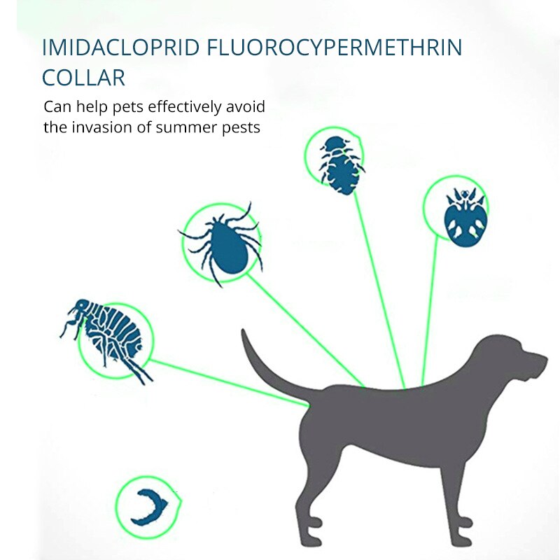 Collare antipulci per animali domestici Collare regolabile antizanzare repellente per insetti per animali di taglia grande