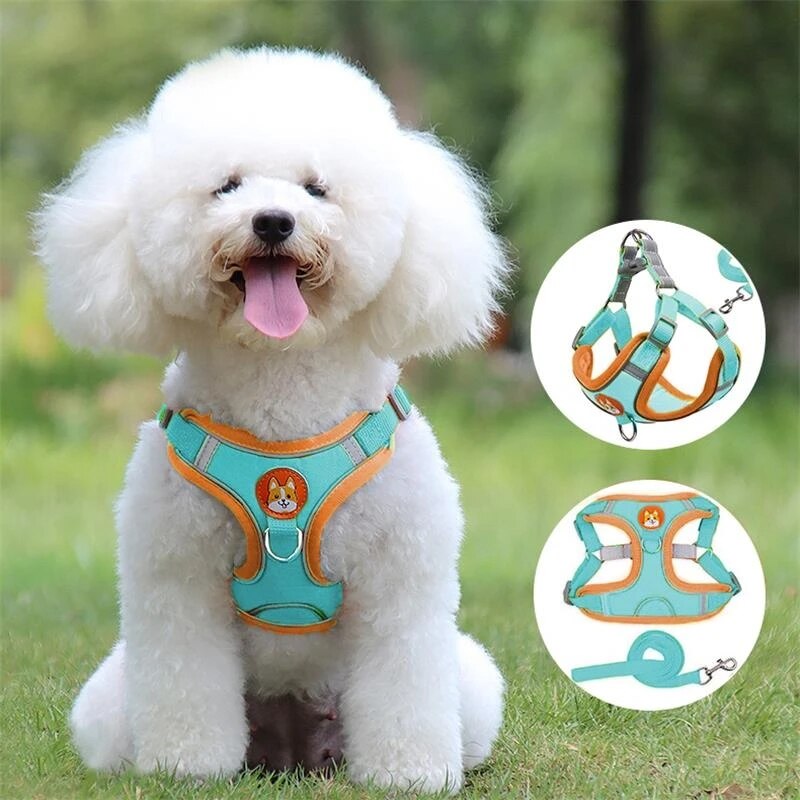 Pettorina per cani regolabile per cani di piccola taglia Pettorina per cani riflettente per gatti Pettorina per animali traspirante Gilet per cuccioli