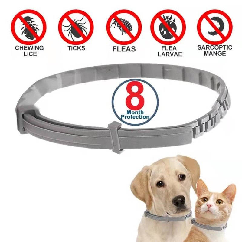 Collare per gatti anti pulci e zecche per can