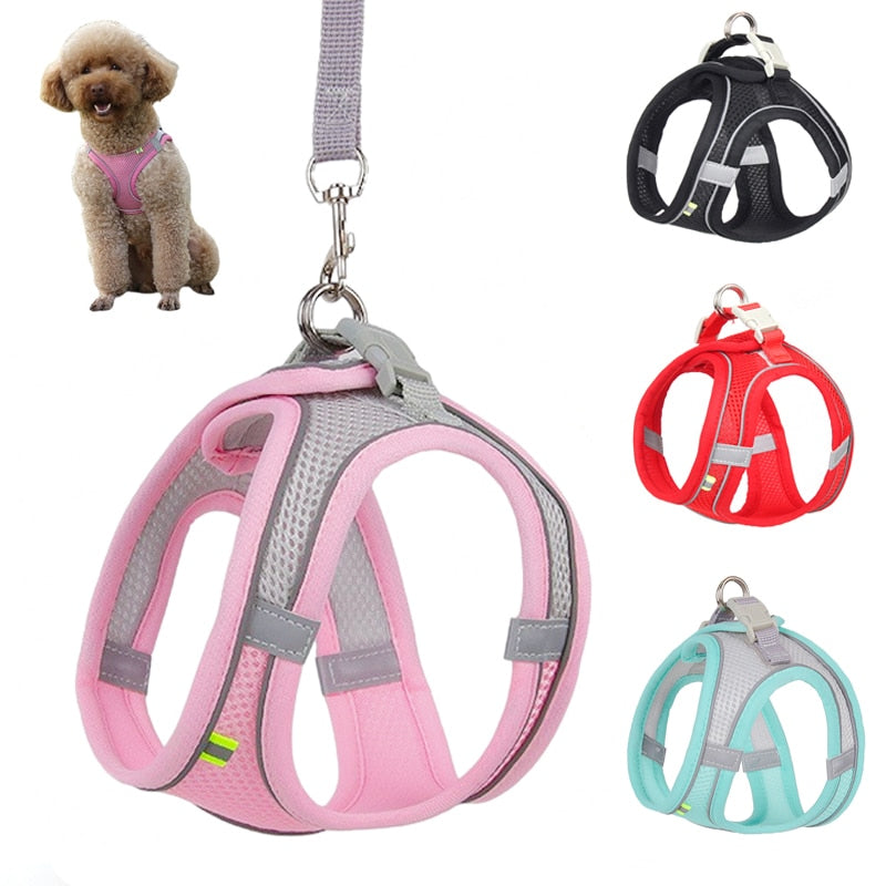 Guinzaglio per cani Set per cani di piccola taglia Guinzaglio per gatti regolabile per cuccioli Bulldog francese Chihuahua Pug Guinzaglio
