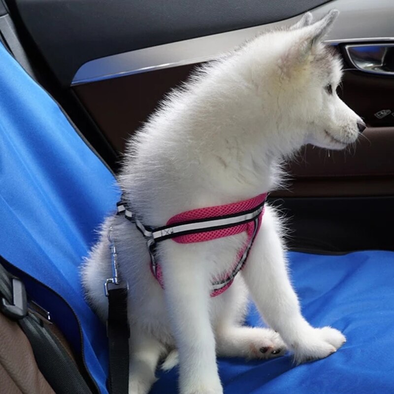 Tappetino per seggiolino auto Coprisedile posteriore per animali domestici Tappetino protettivo antigraffio antisporco impermeabile