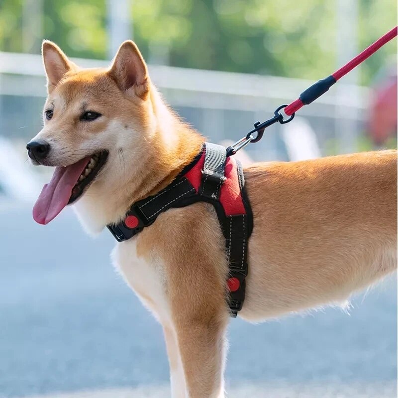 Pettorina per cani regolabile Pettorina per cani da compagnia riflettente durevole per cani Pettorina da passeggio per animali domestici di piccola