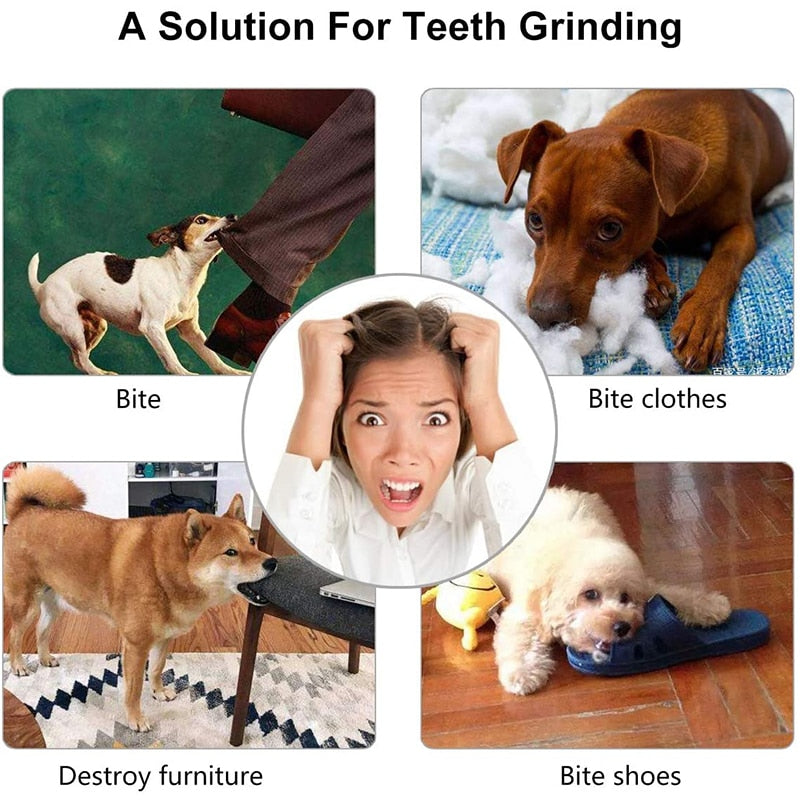 Giocattoli con palline per cani di piccola taglia Elasticità interattiva Giocattolo da masticare per cuccioli Pulizia dei denti Giocattolo in gomma