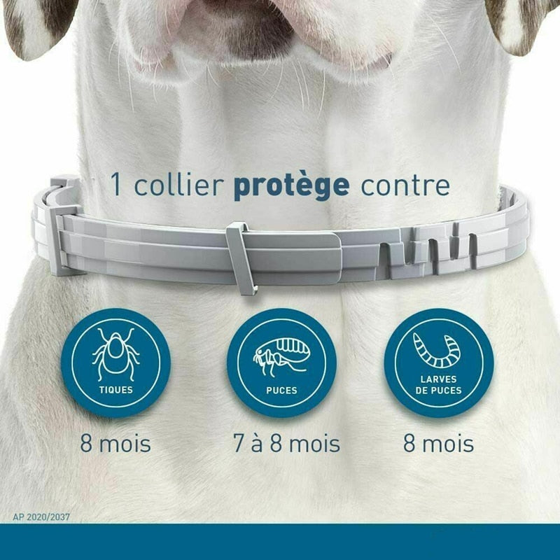 Collare per gatti anti pulci e zecche per can