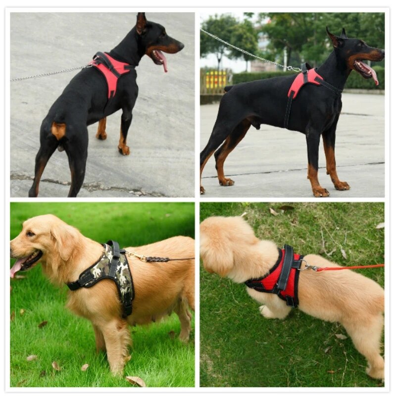 Pettorina per cani regolabile Pettorina per cani da compagnia riflettente durevole per cani Pettorina da passeggio per animali domestici di piccola