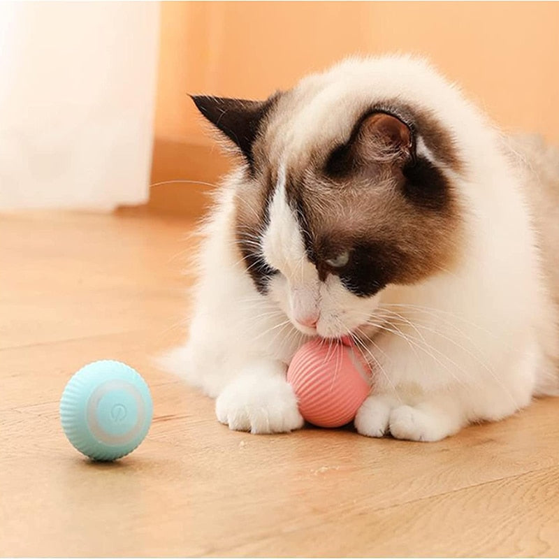Giocattoli elettrici per cani Giocattoli intelligenti con palline per cuccioli per gatti cani di piccola taglia Divertenti palline rotanti automatiche