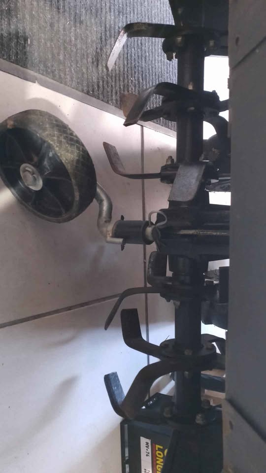Noleggio Motocoltivatore a benzina 9cv Bertolini 413S 70 cm
