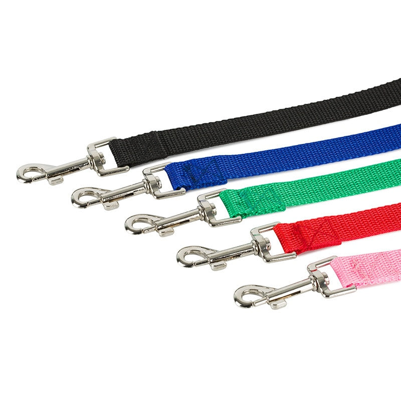 Guinzagli per addestramento per cani in nylon Forniture per animali domestici Imbracatura da passeggio Collare Leader Corda