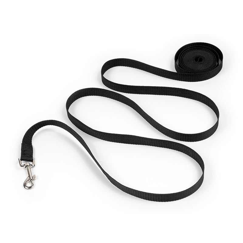 Guinzagli per addestramento per cani in nylon Forniture per animali domestici Imbracatura da passeggio Collare Leader Corda