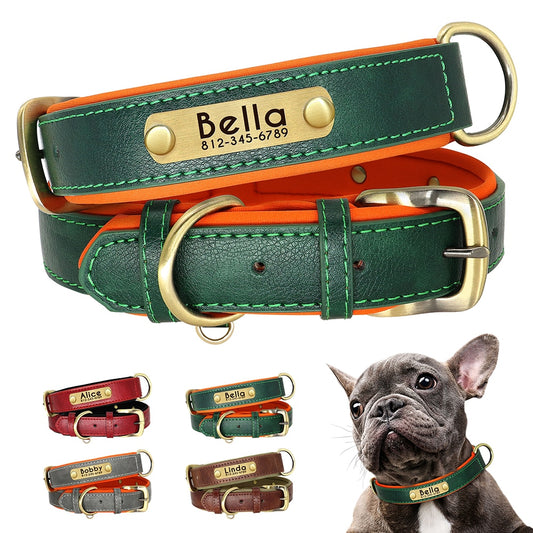 Targhetta identificativa in pelle personalizzata Collare per cani Collari per cani imbottiti morbidi Nome con incisione gratuita