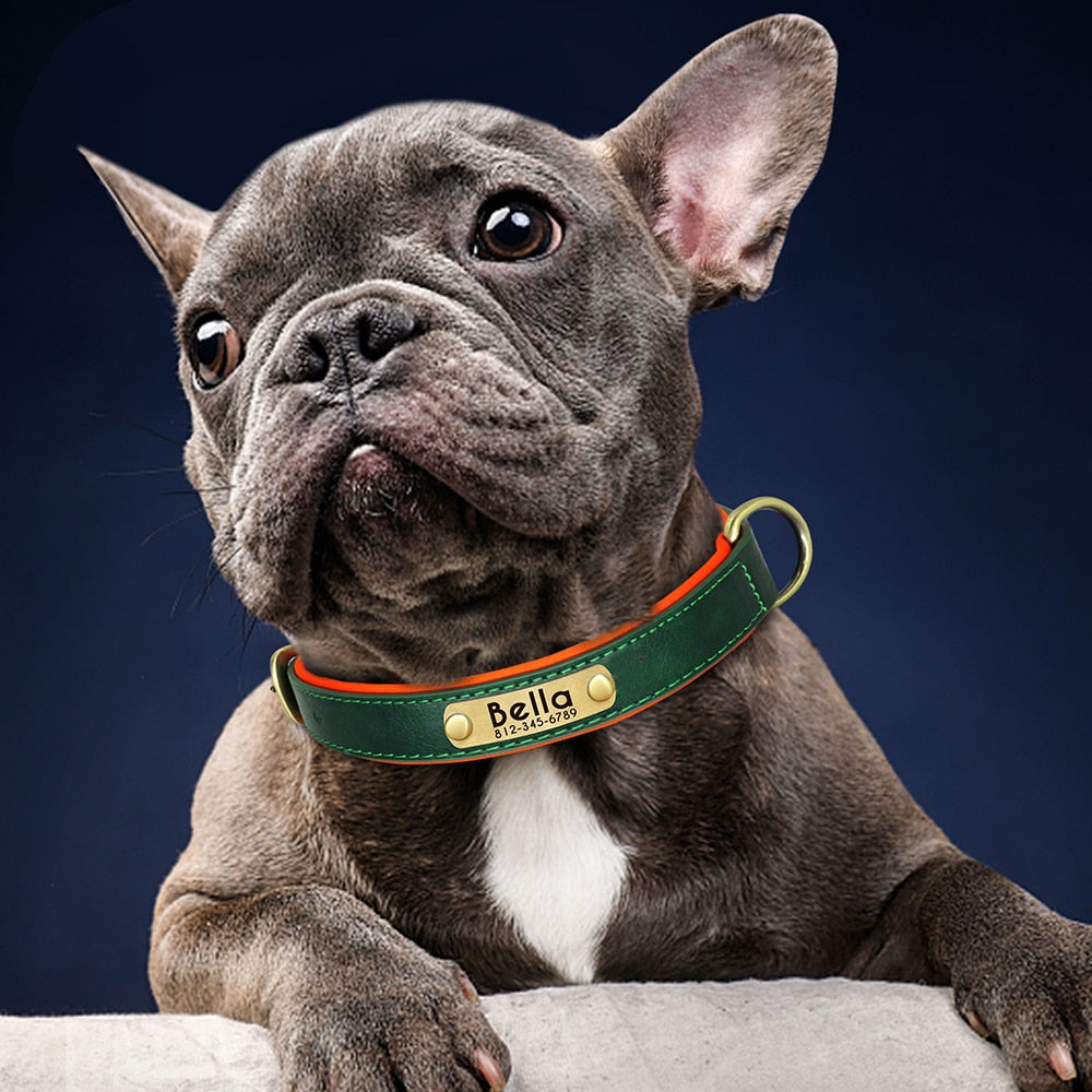 Targhetta identificativa in pelle personalizzata Collare per cani Collari per cani imbottiti morbidi Nome con incisione gratuita