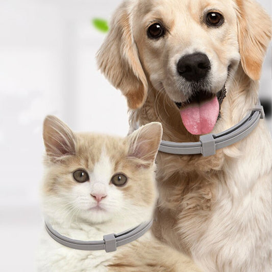 Collare antipulci per animali domestici Collare regolabile antizanzare repellente per insetti per animali di taglia grande