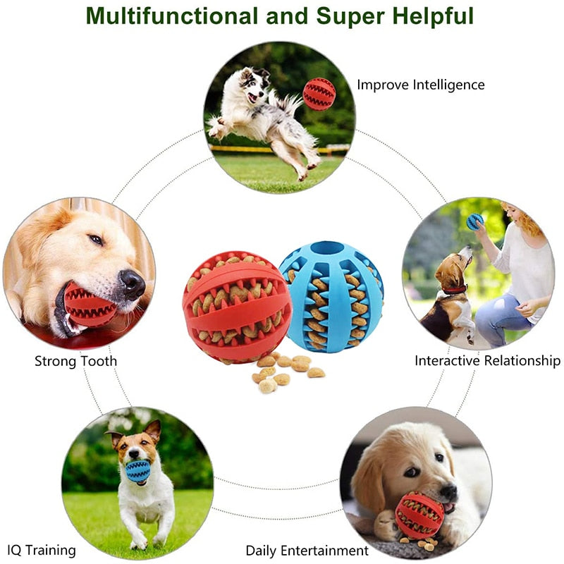 Giocattoli con palline per cani di piccola taglia Elasticità interattiva Giocattolo da masticare per cuccioli Pulizia dei denti Giocattolo in gomma
